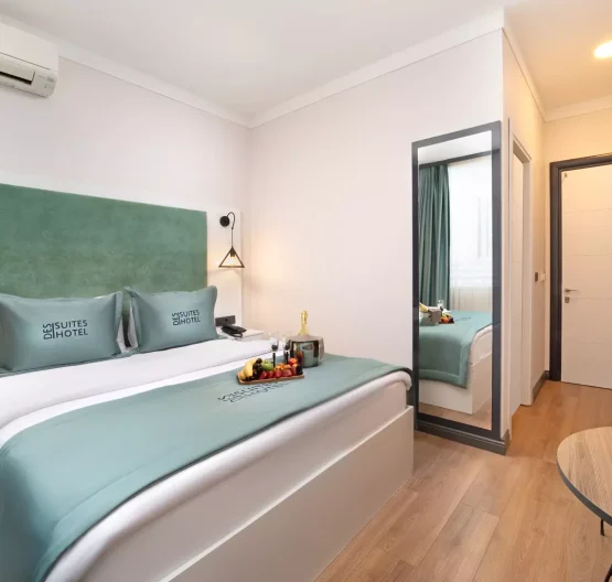 Bakırköy günlük kiralık standart daire